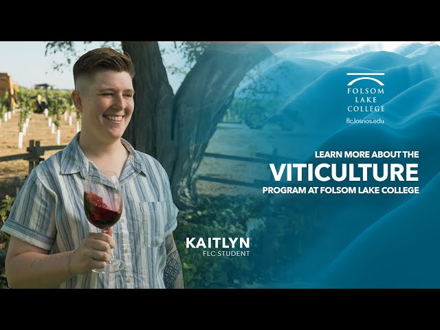 FLC Viticulture: Kaitlyn