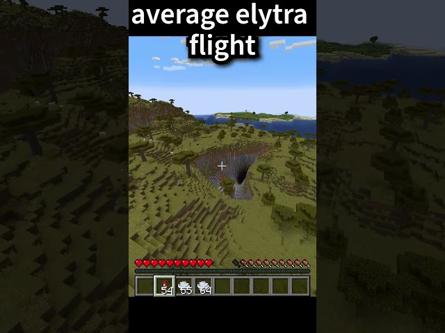 Average Elytra Flight. . .