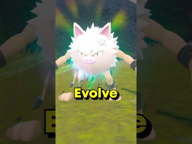 How to get Annihilape Evolution FAST in Pokemon Scarlet and Violet