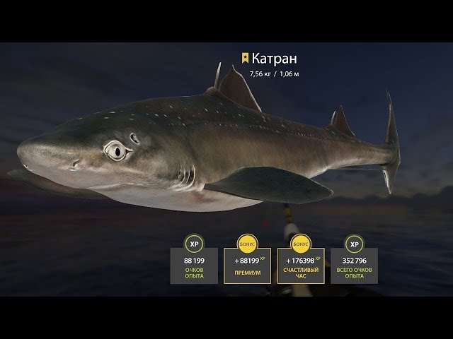 ❤️НОРВЕЖСКОЕ МОРЕ.САМОЕ БОГАТОЕ МОРЕ🦈РОЗЫГРЫШИ🐙РУССКАЯ РЫБАЛКА 4