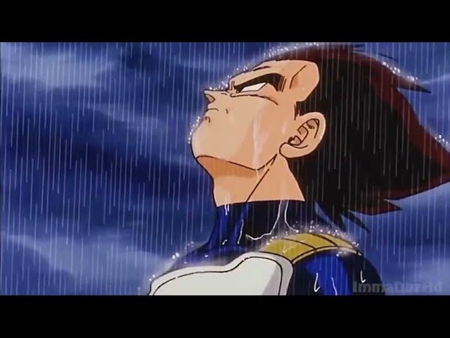 Vegeta in the rain 1Hour-Calming