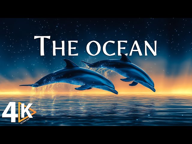 Most Beautiful Oceans to Explore | 4K World Escapades