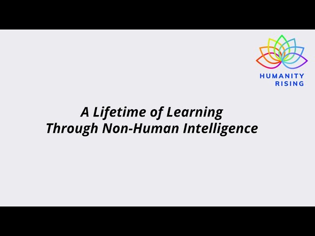 Humanity Rising 1052: A Lifetime of Learning Through Non-Human Intelligence