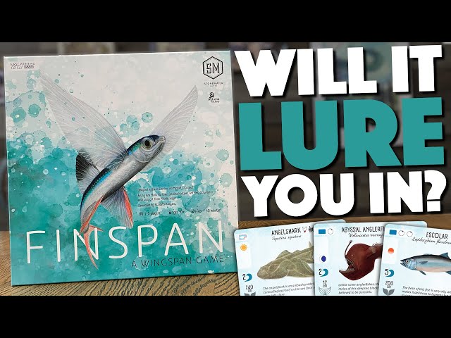 FINSPAN - We Just Played It!