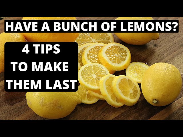 Too Many Lemons? Preserve Lemons 4 Ways!