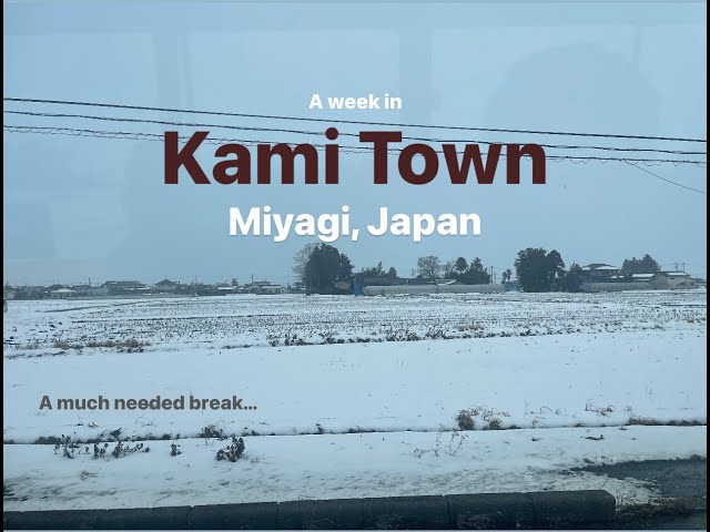 A week in a small Town in Japan | Living alone in Japan