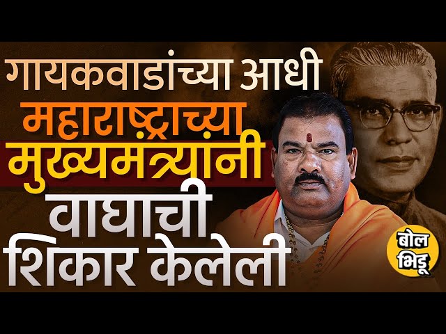 MLA Sanjay Gaikwad यांच्याआधी Maharashtra CM Vasantrao Naik यांनी वाघाची शिकार केल्याची घटना गाजलेली