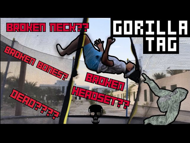 BackFlip While In Gorilla Tag Vr