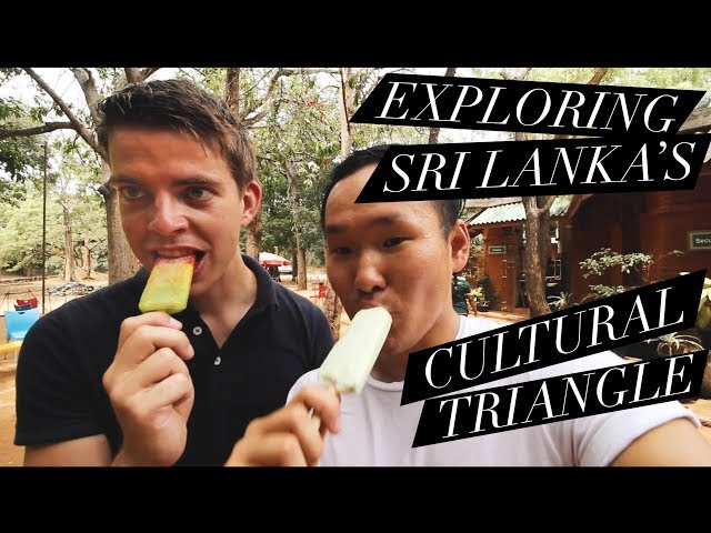 GAY TRAVEL: CULTURAL TRIANGLE OF SRI LANKA | Vlog 18