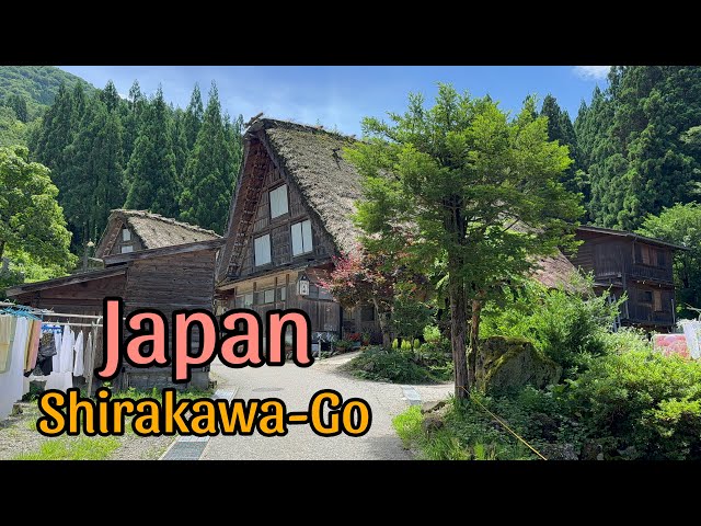 Japan Ancient Village Shirakawa-go Beautiful Heritage place Walking Tour 2024