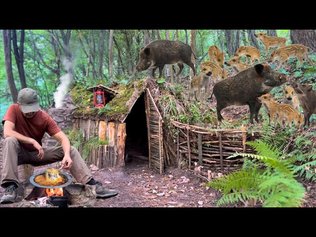 Camping in a deserted forest hut.  A herd of wild boar.  Cooking cutlets on a stone.  Kunefe dessert