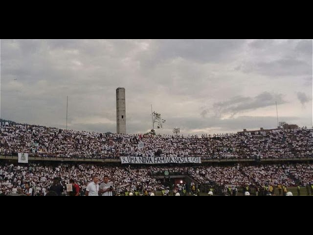 En 360º El emotivo homenaje al Chapecoense en el Atanasio Girardot