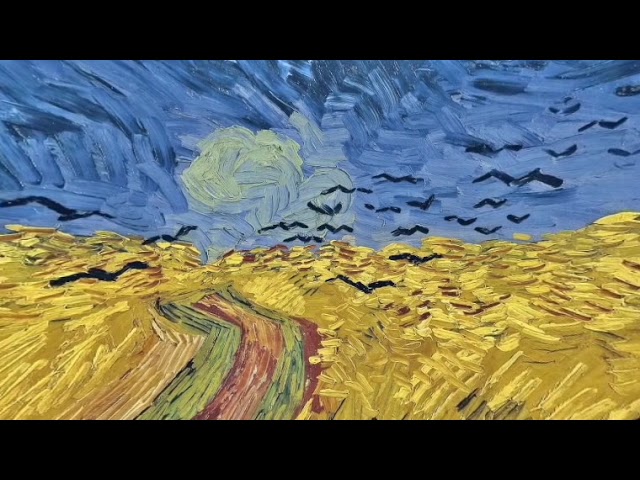 Van Gogh Wheatfield with Crows - museumco-4343 - Living Work of Art - 3d VR180