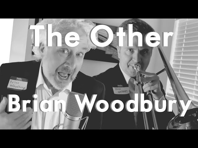 The Other Brian Woodbury - Brian Woodbury, feat. Dr. Brian W. Woodbury