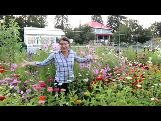 August Abundance Garden Tour