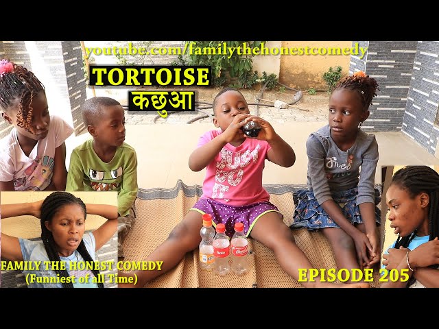 FUNNY VIDEO (TORTOISE) | कछुआ (Family The Honest Comedy) (Episode 205)