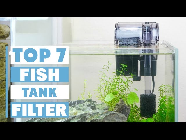 Top 7 Best Fish Tank Filters for Aquariums