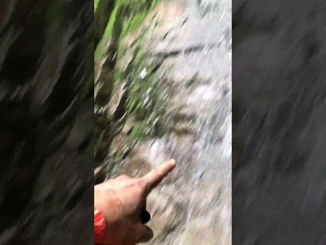 Encontré el templo de la cascada oculto en las montañas de la estrella Antioquia