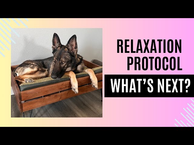 Relaxation Protocol: What Next?