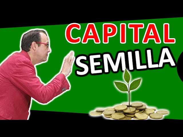 💰👍 Qué es el CAPITAL SEMILLA, como se consigue?, financiación para Autónomos, PYMES y Emprendedores