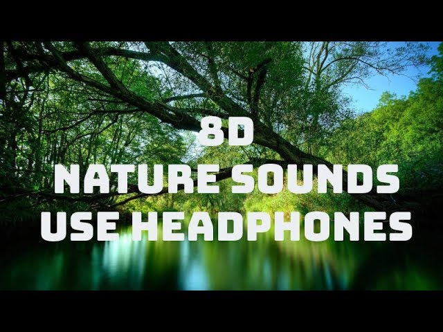 🎧 8D Nature Sounds | Relaxing Nature ASMR | USE HEADPHONES