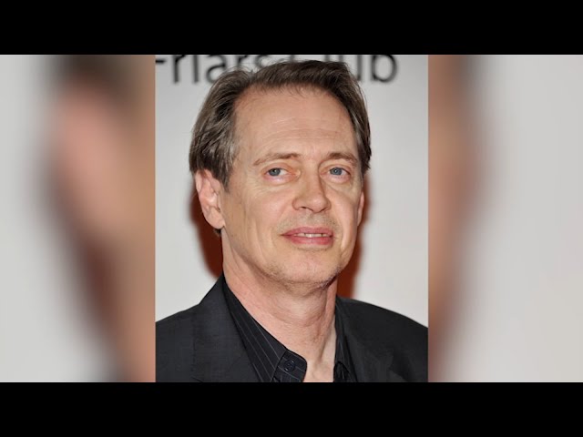 Actor Steve Buscemi punched in the face in random attack in New York City