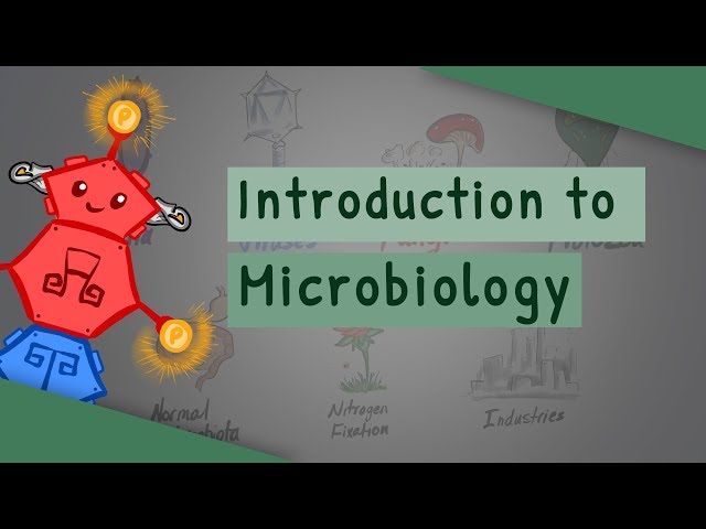 Introduction To Microbiology