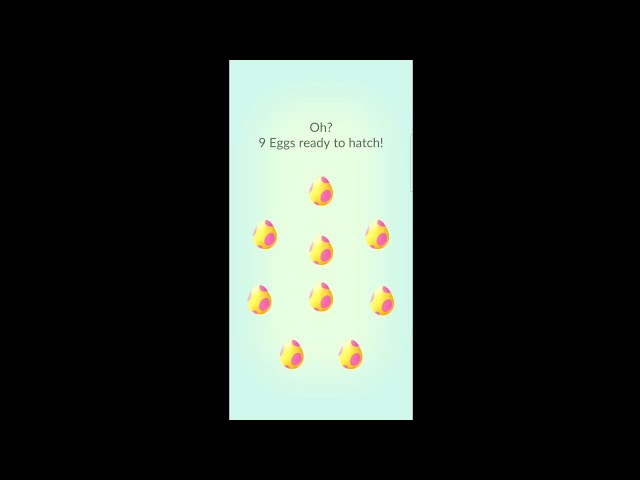 Pokemon Go Hatching 9 Eggs