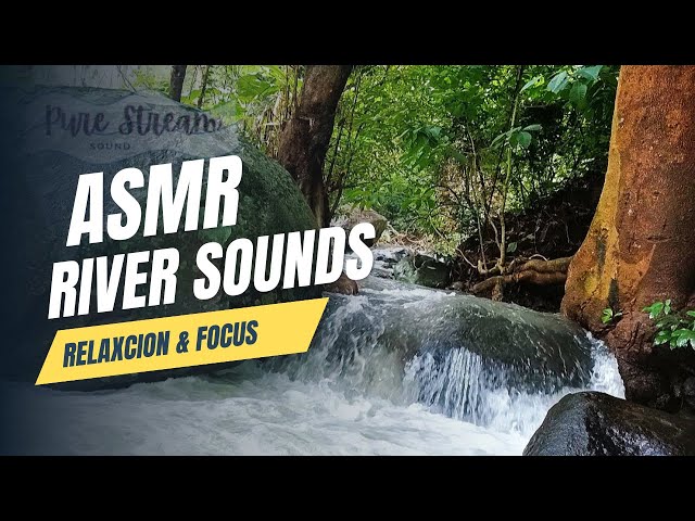 ASMR River Sounds | Flowing Water & Nature Ambience for Deep Sleep, Relaxation & Focus