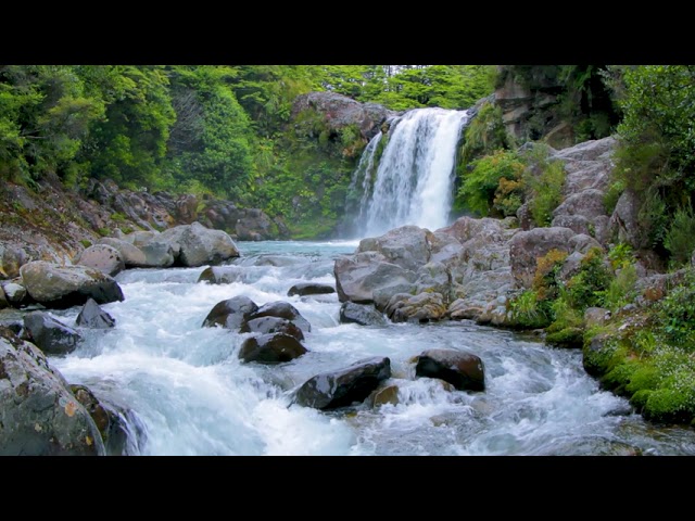 Soothing Rocky Mountain Waterfall and River. Relaxing Nature Sounds. 10 hours, White Noise to Sleep.