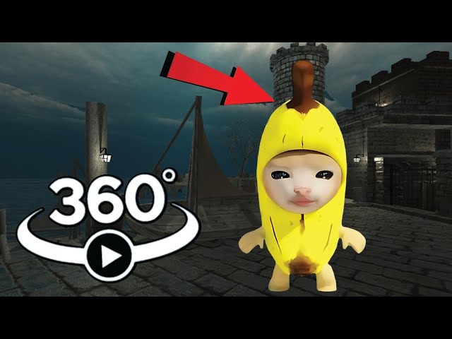 Banana Cat But It's 360 degree video | Happy Happy cat #2