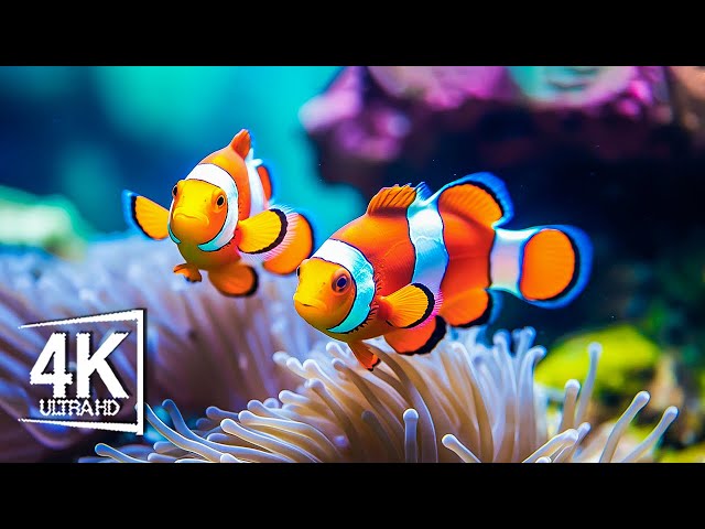 CLOWN FISH in AI: Amazing Underwater Footage with Artificial Intelligence!