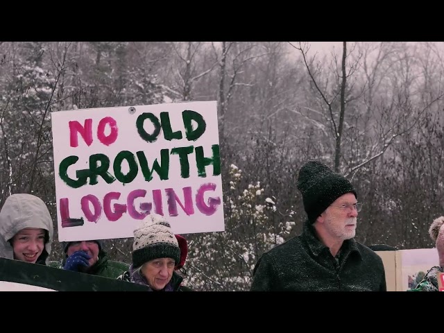 Rally to Save Our Old Growth Forests!