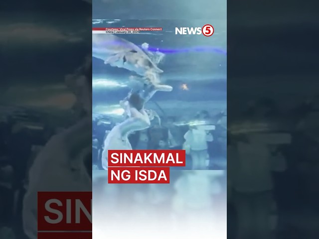 Mermaid performer sa China, sinakmal sa ulo ng isda