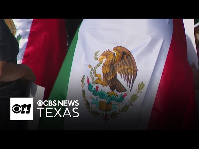 Hundreds protest against Trump's immigration policies in North Texas