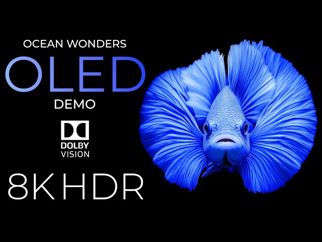 Ocean Wonders OLED Demo HDR 8K Ultra HD Dolby Vision™ 60fps