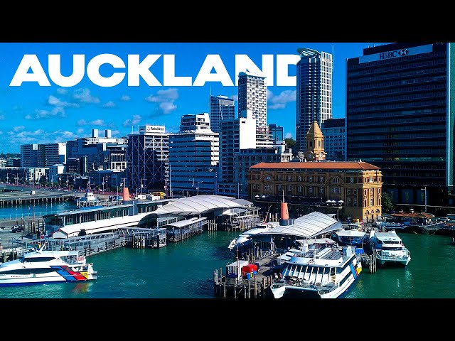 A Tour of AUCKLAND | The Largest City in New Zealand