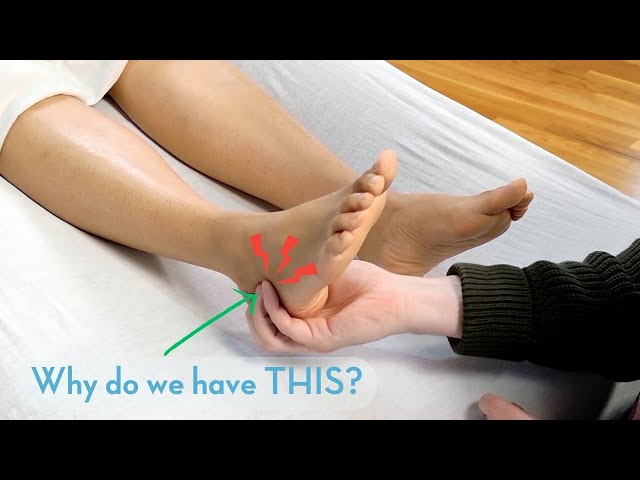 This is the Best Foot Massage Technique for Subtalor Mobility: Expert