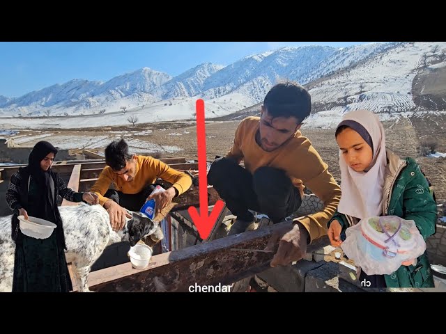 Winter Warriors: The Majid Family's Sacrifice for Children