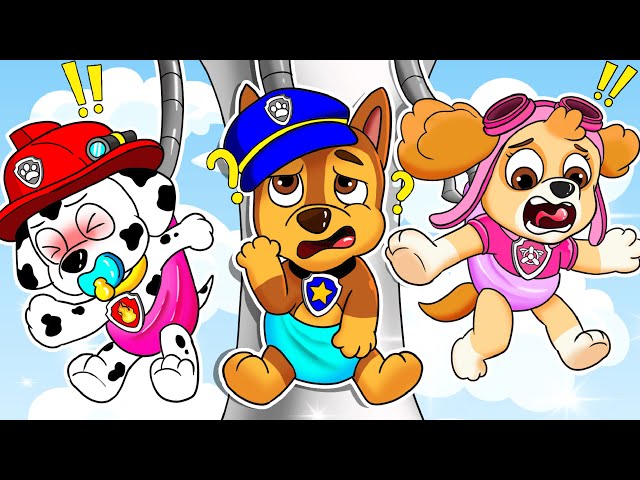 PAW Patrol The Mighty Movie | Brewing Cute Baby Factory | Very Funny Life Story | Rainbow Friends 3