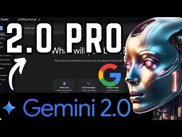 Gemini 2.0 PRO Experimental Model Testing - Google AI Studio