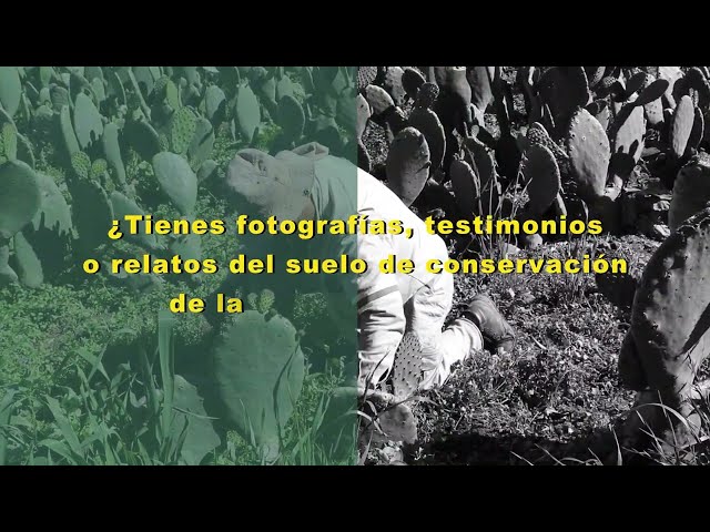 Convocatoria: Así se ve el área de suelo de conservación en la Ciudad de México