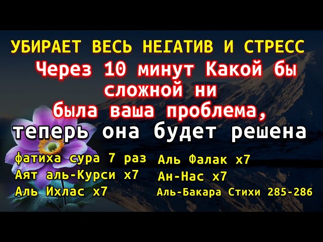 Аль-Фатиха Аль-Ихласаль-Фалак Ан-Нас Аят аль курси 👳🏼‍♀️ Бог даёт ИМ богатство и СИЛУ 🌼🌼🌼🌼