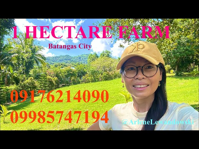 Vlog633: FOR SALE 1 HECTARE  FARM WITH MOUNTAIN VIEW IN BATANGAS CITY PHILIPPINES