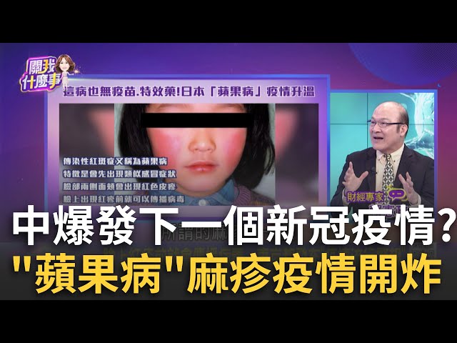 "新"疫情中國再起?!"防疫股"連二日噴漲登盤面最強目前沒藥醫也沒疫苗!中國驚現"人類間質肺炎病毒"│陳斐娟 主持│20241229│關我什麼事 feat.賴憲政