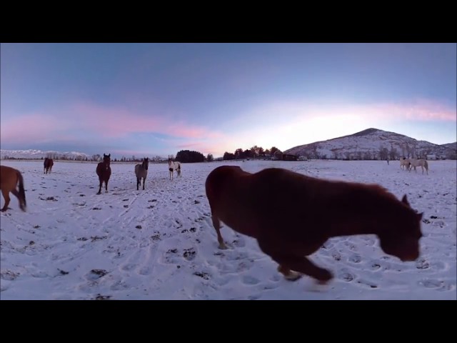 Explore North America in 360° VR