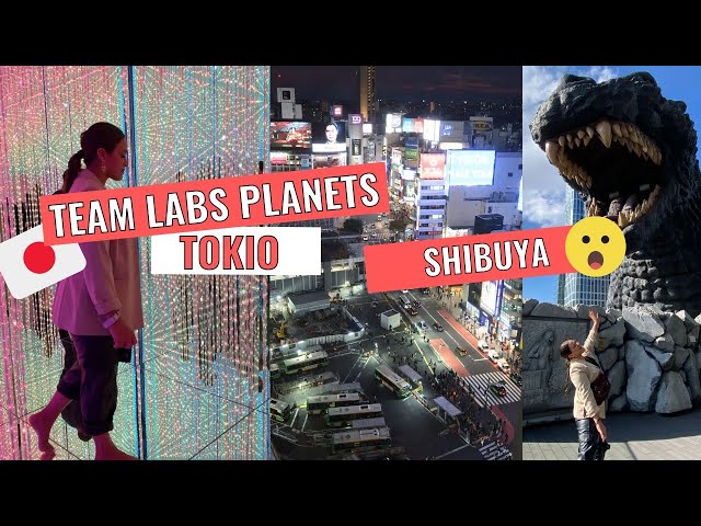 EL CRUCE MÁS GRANDE DEL MUNDO/ GODZILLA/ TEAM LABS PLANETS 🔥