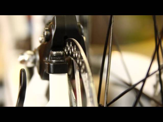 Mtn Bike Disc Brakes