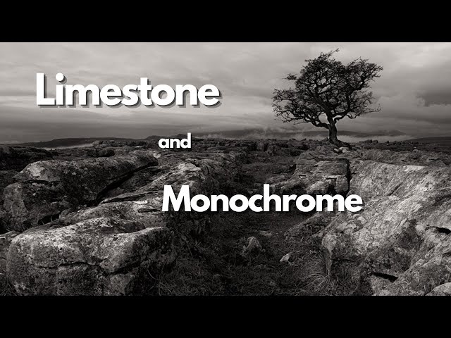 Limestone and Monochrome