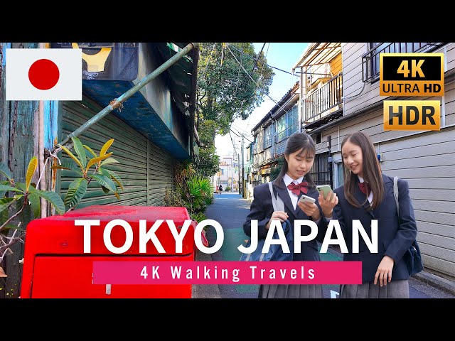 4K JAPAN WALK 🇯🇵 Nostalgic Tokyo, Araiyakushi-mae to Nogata Walking Tour - Feb 2025【4K HDR 60fps】